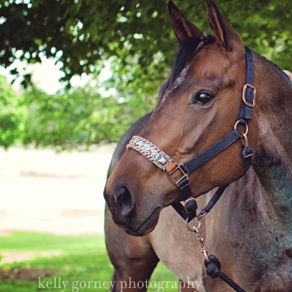 Meet your Posher, Jenny faye